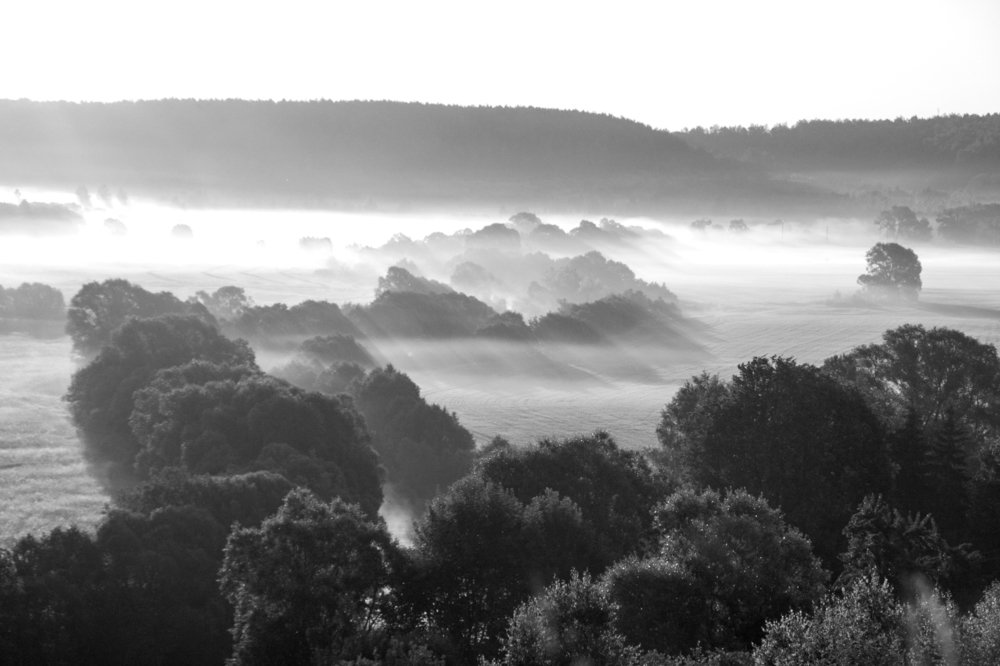 Утренний туман