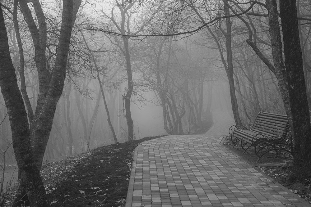 Дорожка в туман