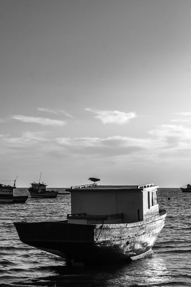 The Sky and the Boat