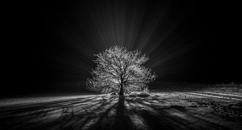 Photograph by Андрей Петрук