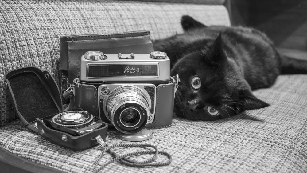 Притомился фотограф)