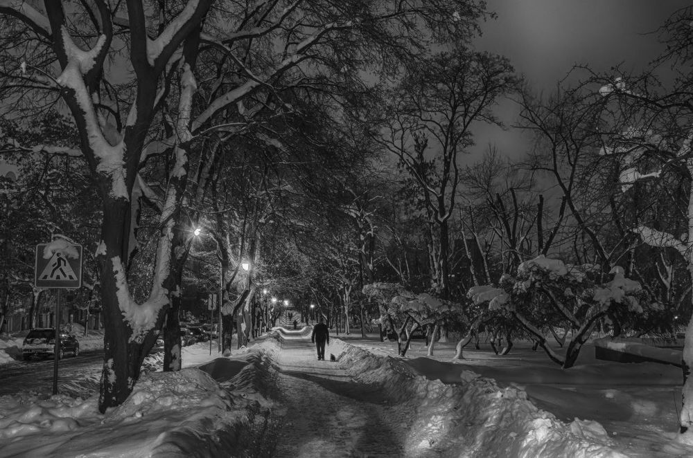 Зимней ночью