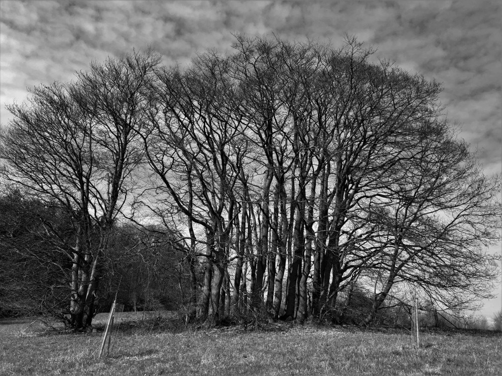 В парке. Im Park.