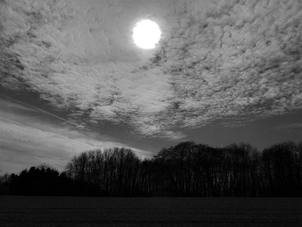 В парке. Im Park.