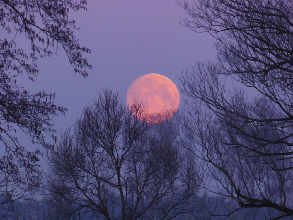 Moon at dawn