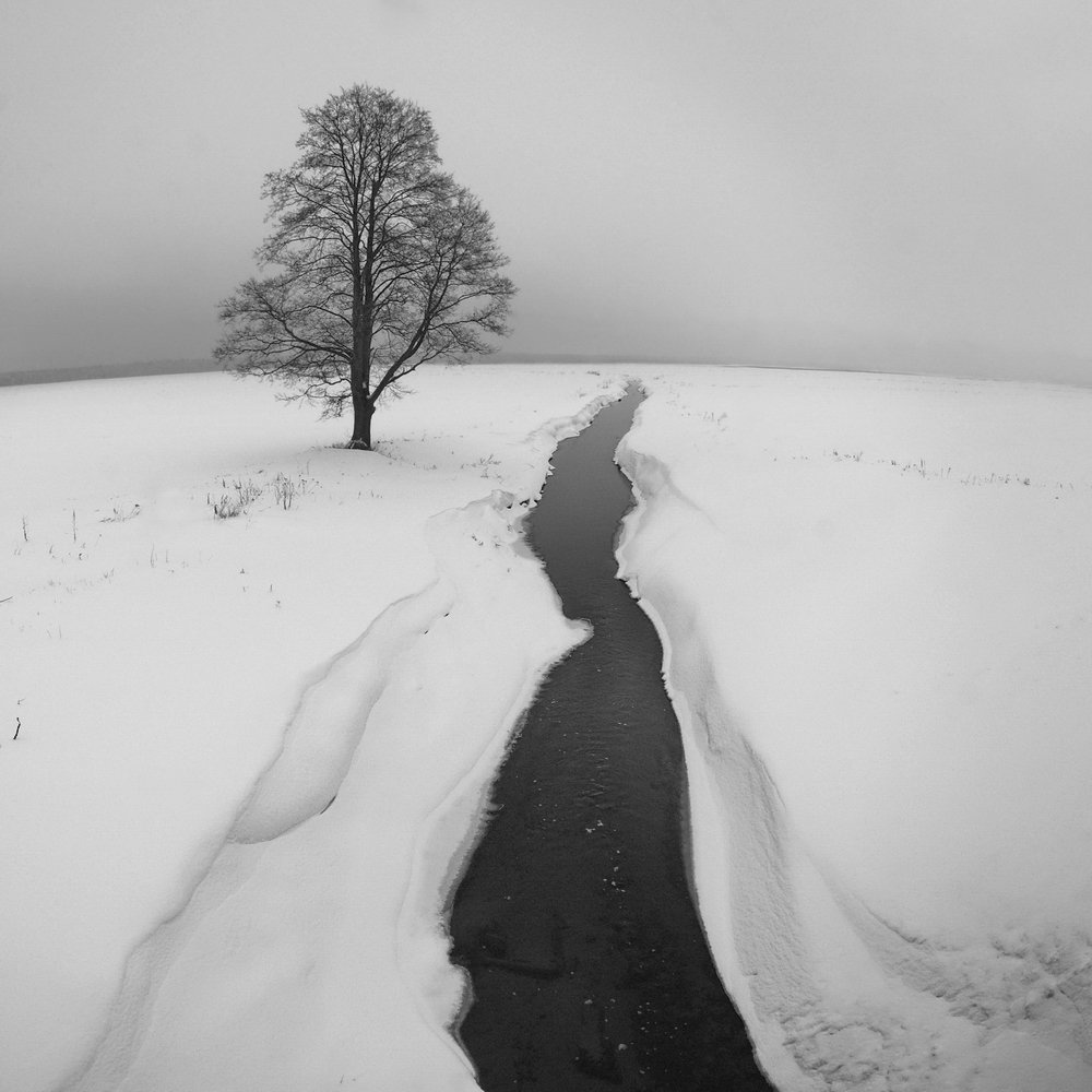 Photograph by Сергей Шляга