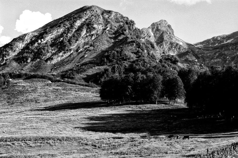 Ауадхара. Абхазия
