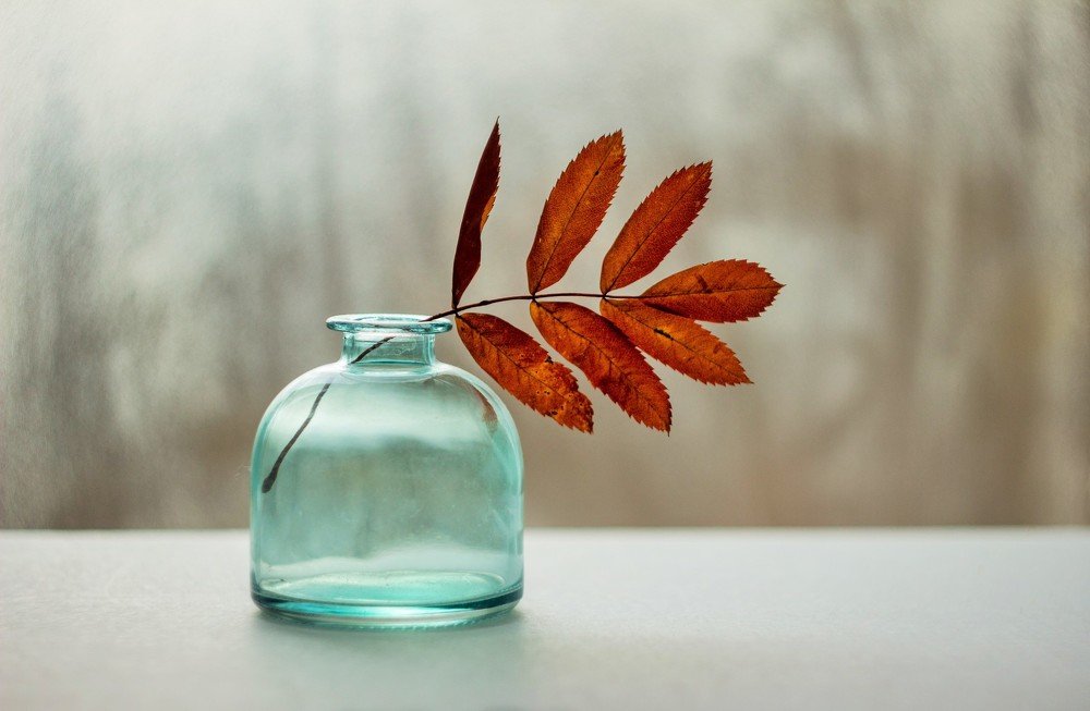 привет из  Осени