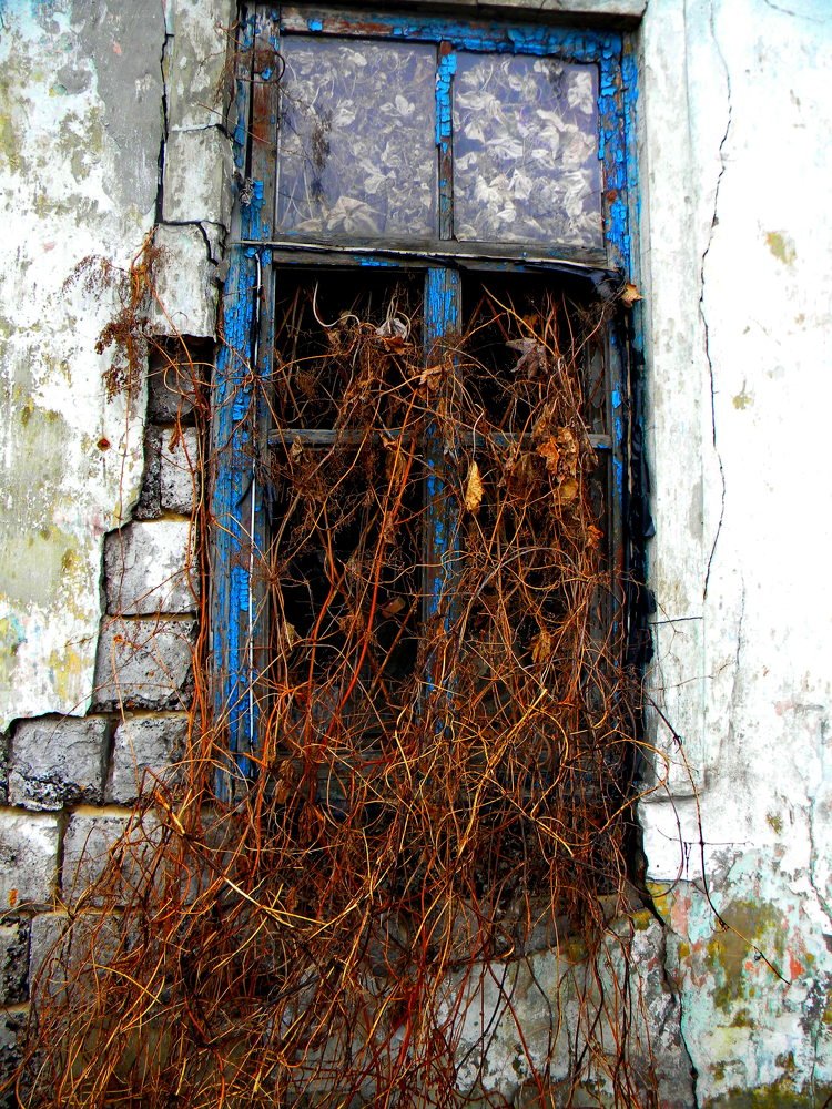 Window in autumn