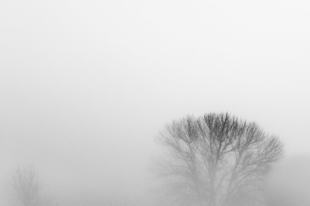 in fog