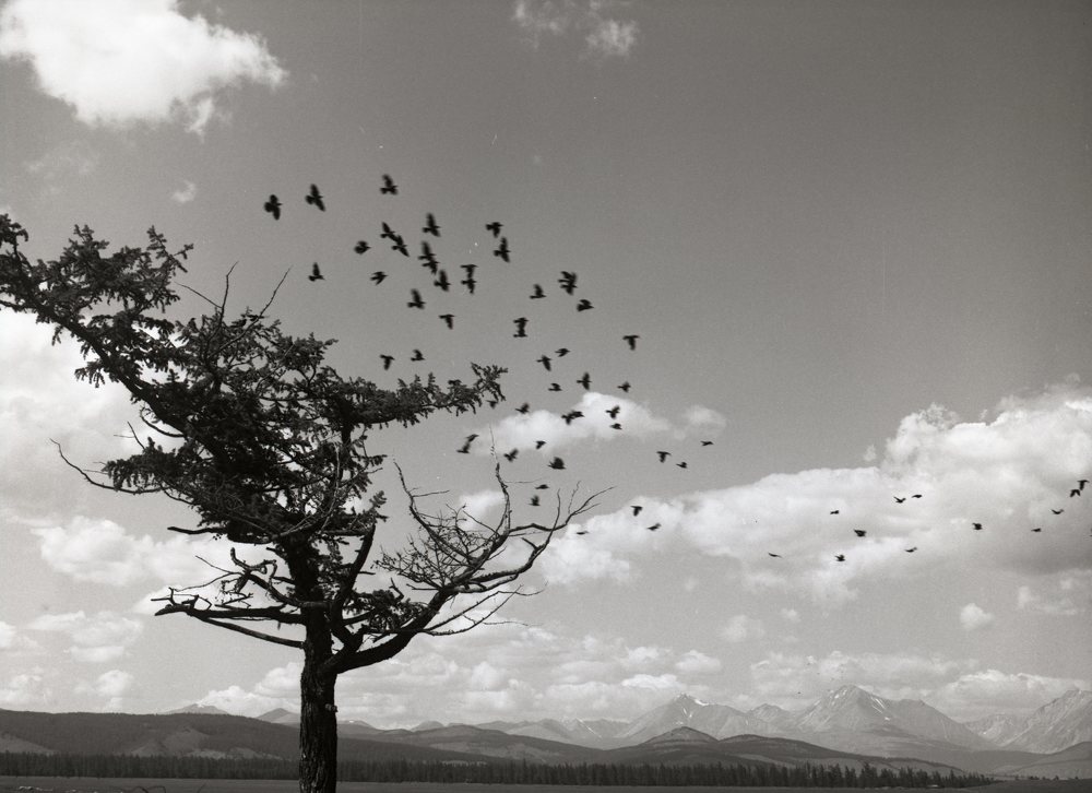 Фотография автора Илья Глобин