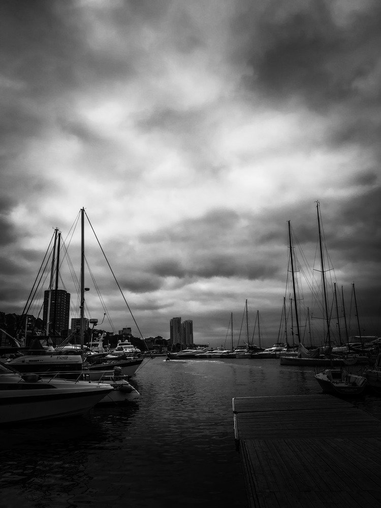Photo #3122061