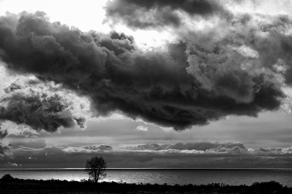 Перед бурей