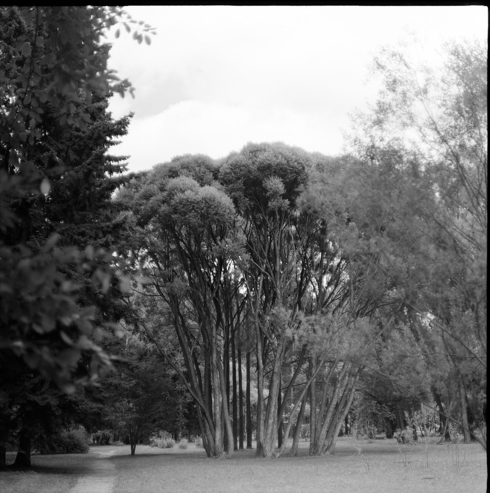 Летний ботсад