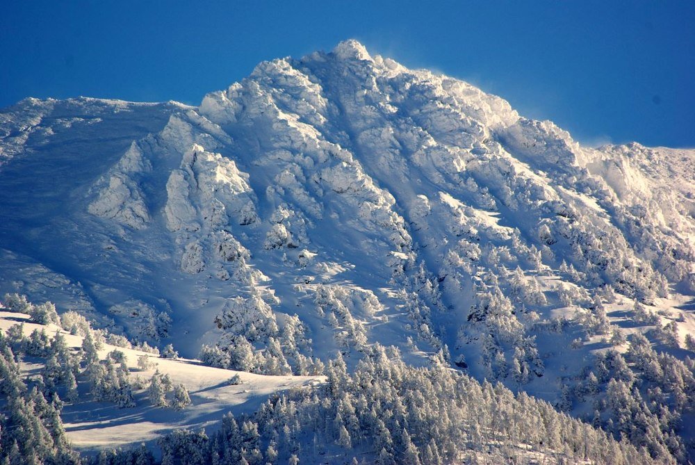 Белое безмолвие ...