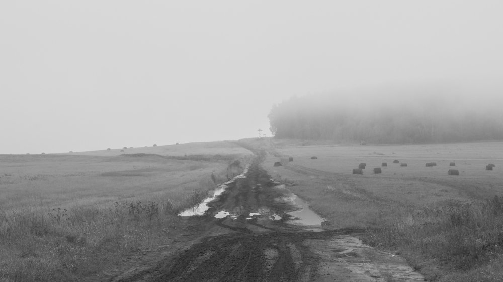 Photograph by Антон Мингалев