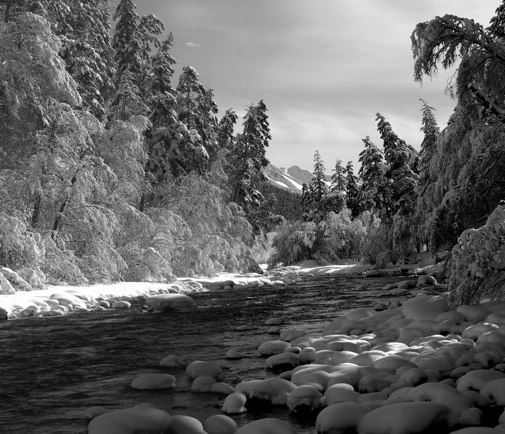 Зимняя сказка ...