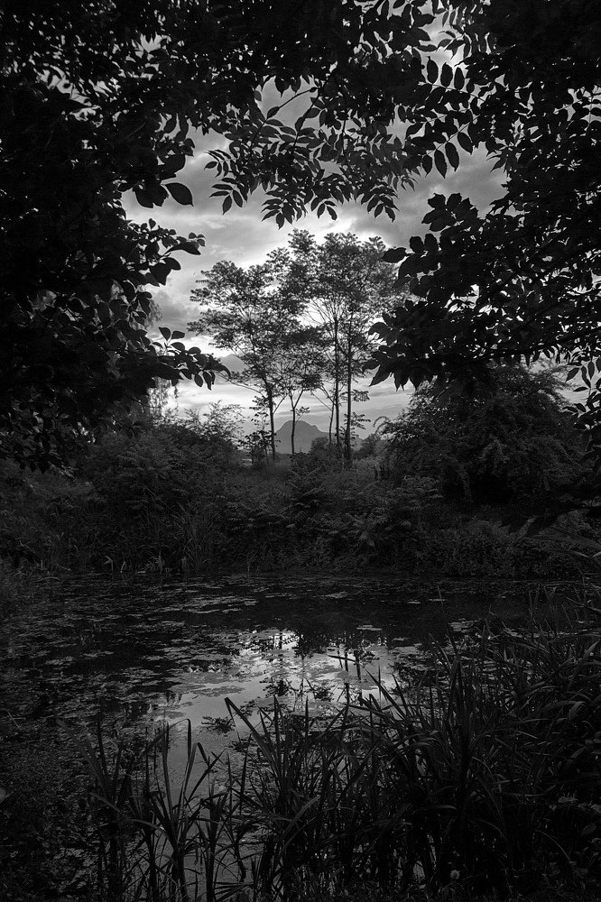 Северный Кавказ