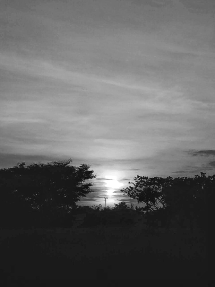 Landscape black and white