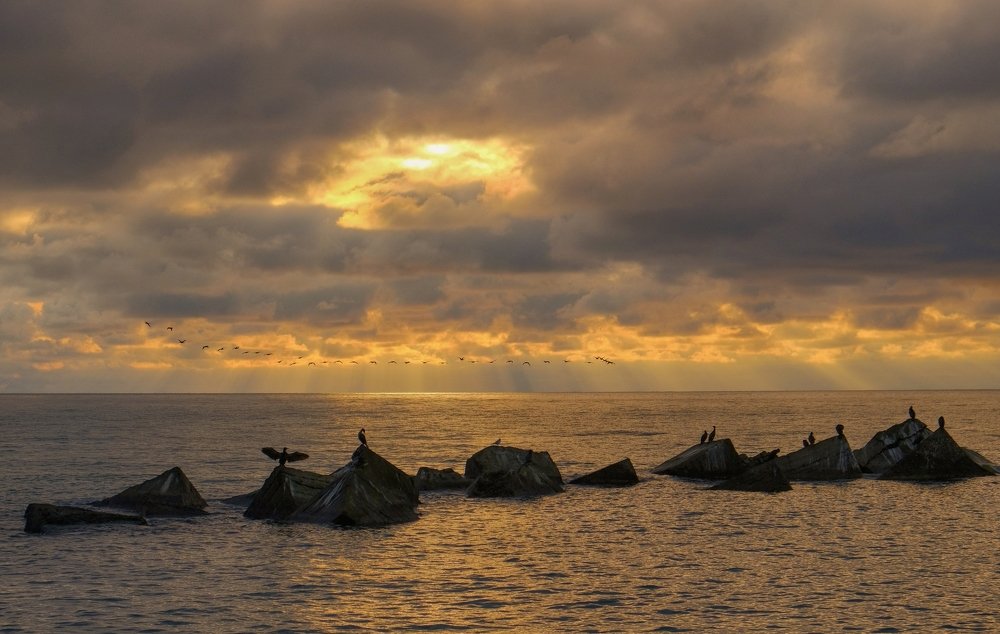 Закатные силуэты