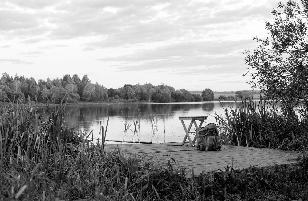 Тихая гавань