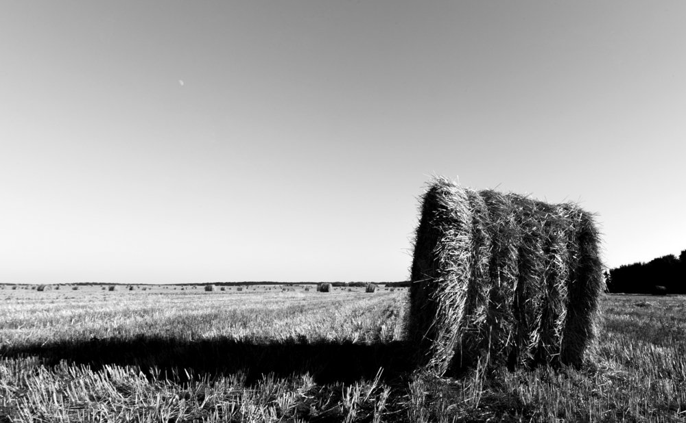 Photo #3122397