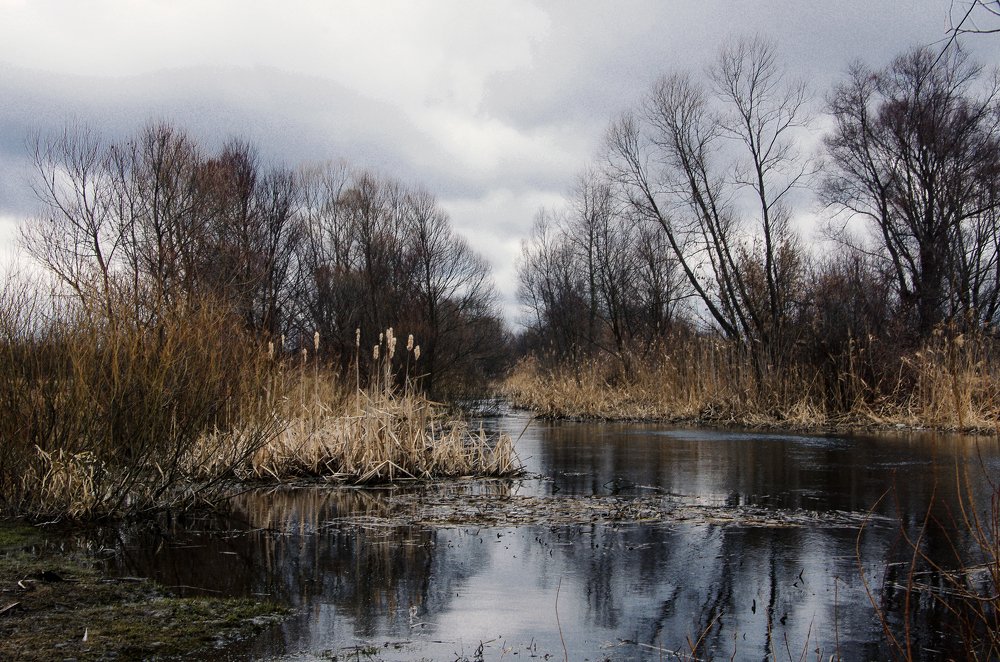 Весеннее пробуждение