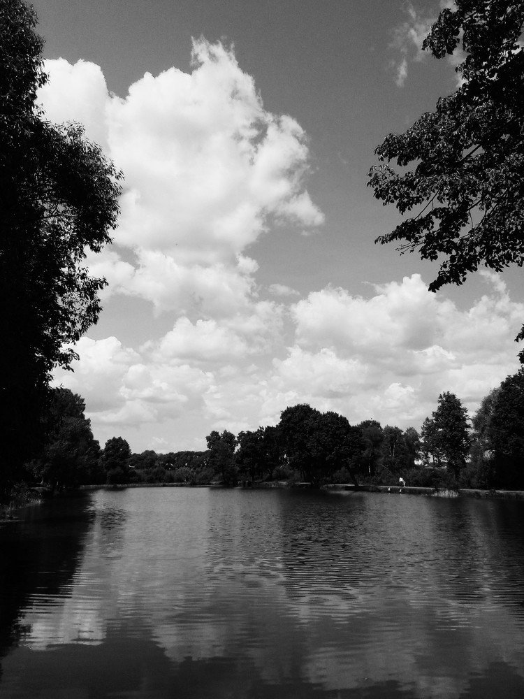 Чёрно-белый пейзаж