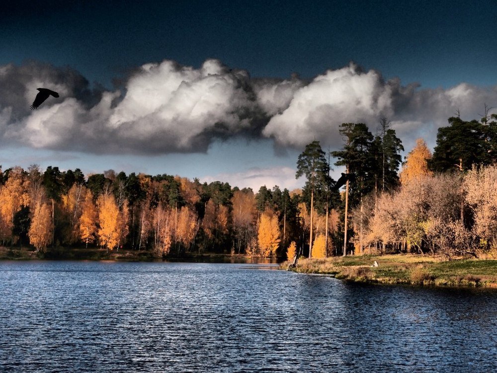 Безмятежность