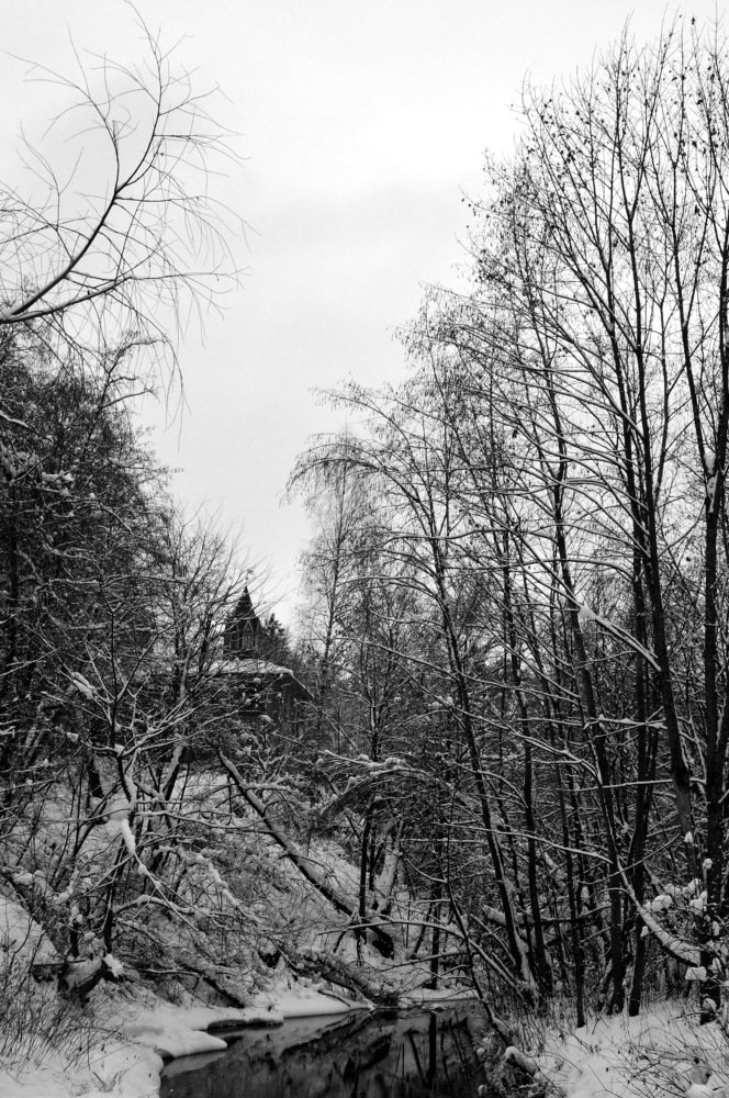 Зимой на берегу реки