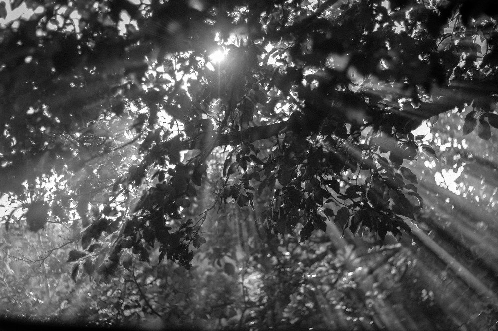 Photograph by Ефимова Анна