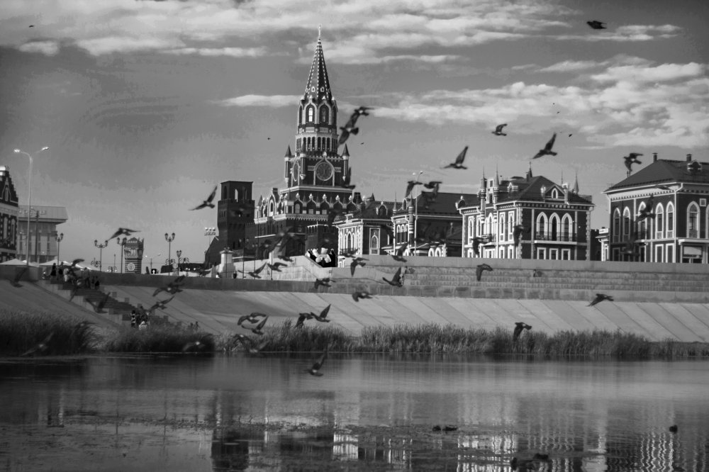 голуби над рекой