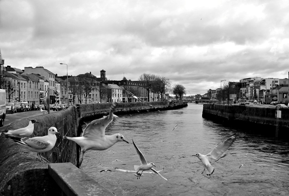 Photograph by Irina Radzinskaya