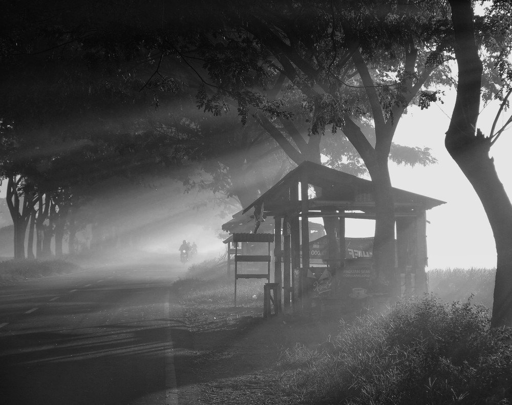 Photograph by Appank S Pram