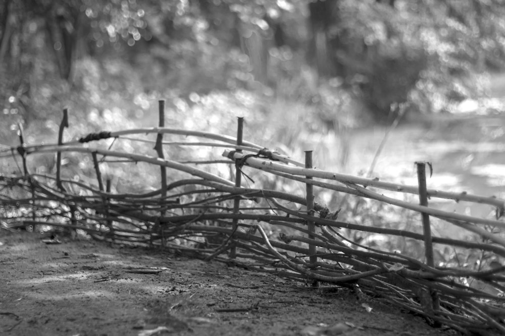 Photograph by Олег