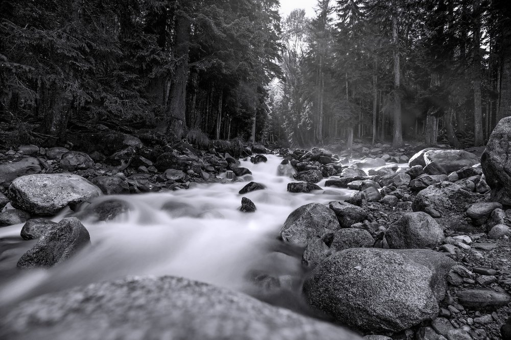 Photograph by Элина Чекалова