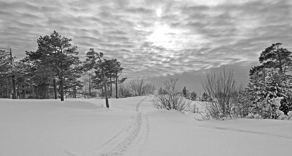 Зимние дюны