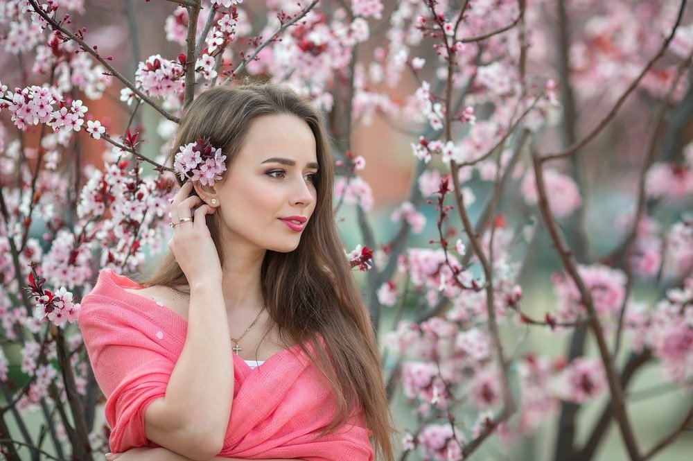 Сады в цвету