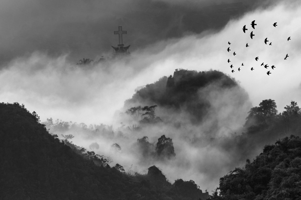 Morning Glory At Lolai