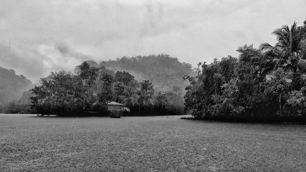 Into the rain