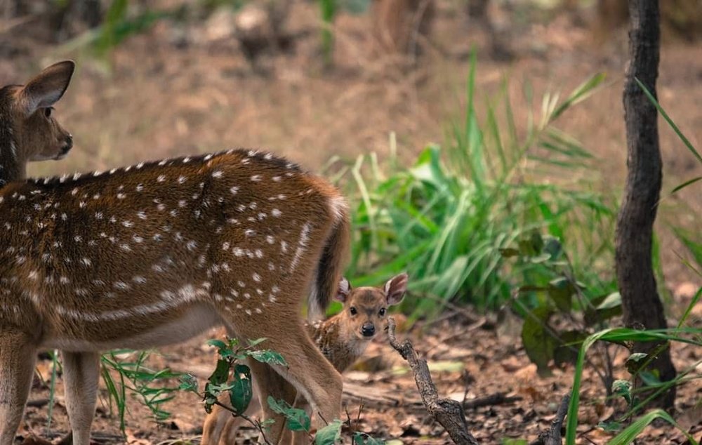 Lets play hide and seek