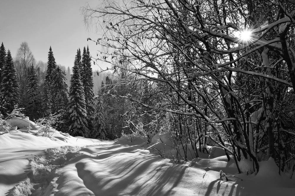 Зимние пейзажи