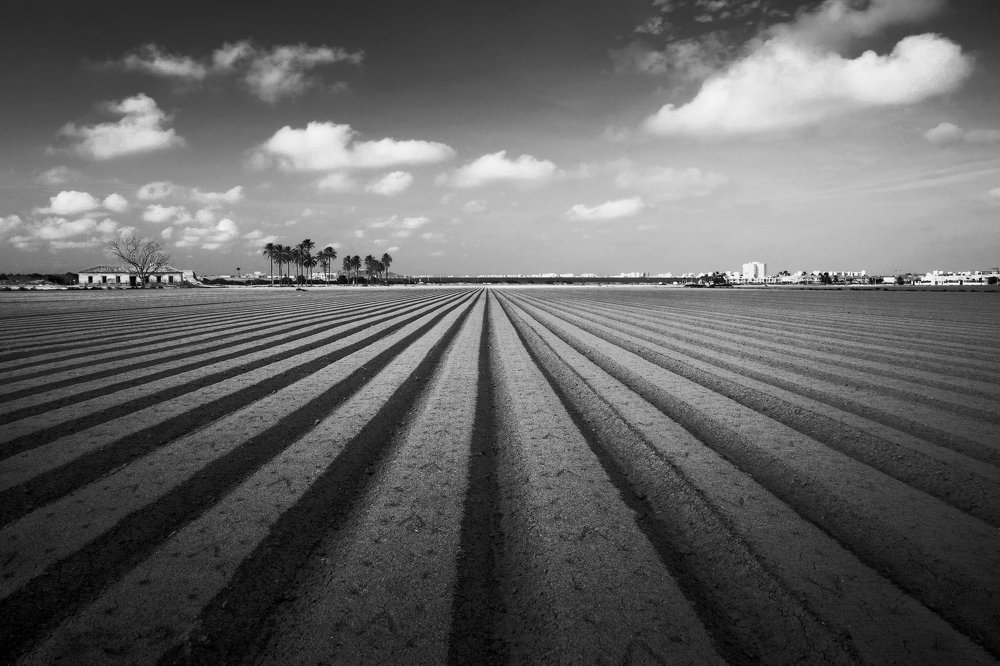 Графика осенних полей