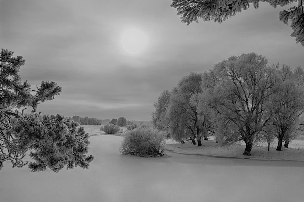 Зимний рассвет