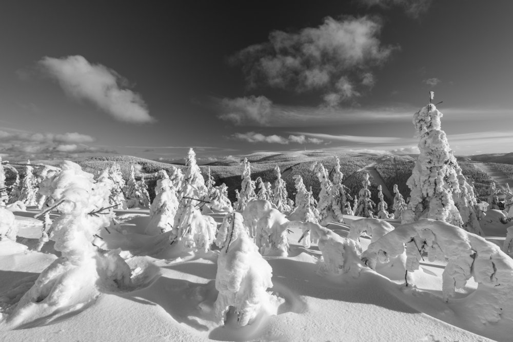 Winter in Jeseniky