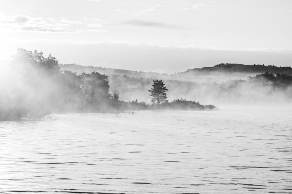 утро туманное...