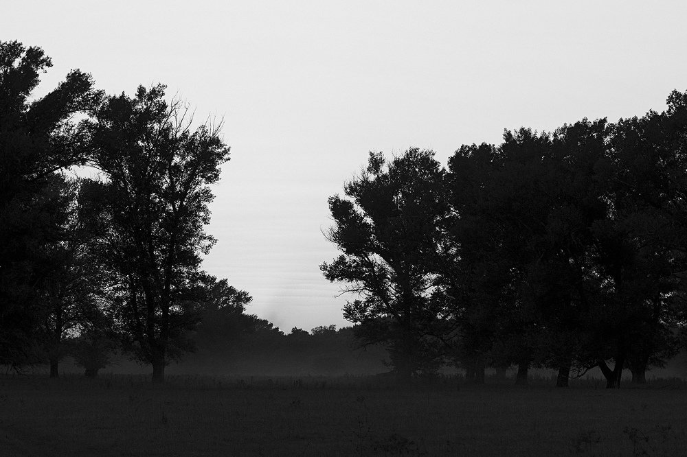 Хутор Меркуловский