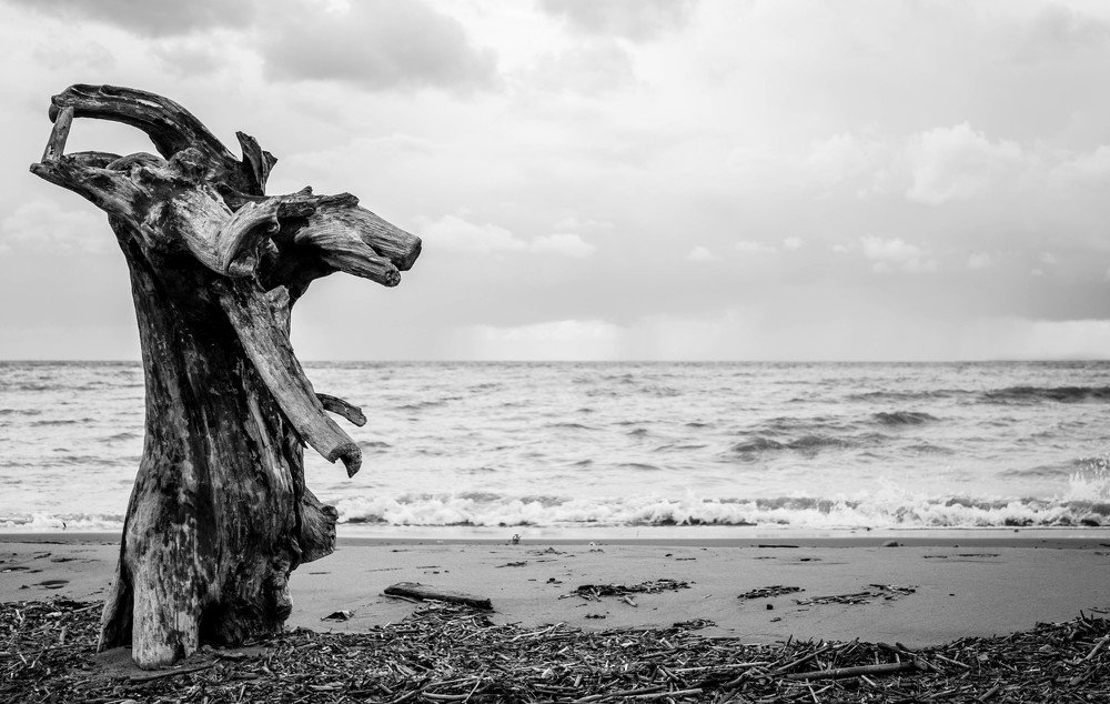Photograph by Анна Скоморохова
