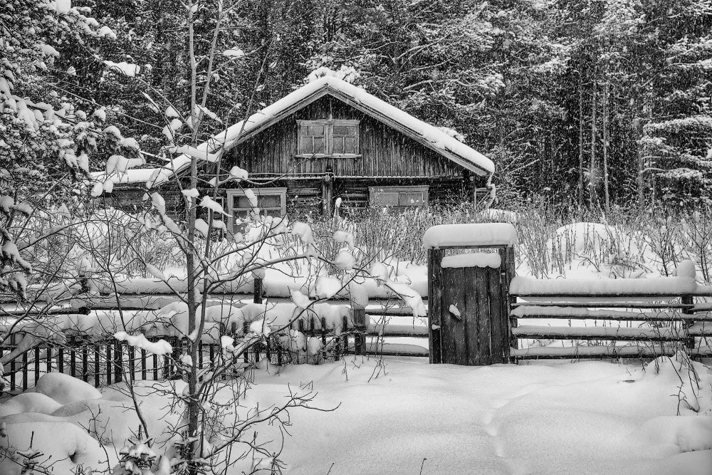 У леса, на опушке ...