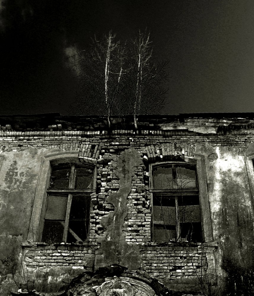 Жизнь и смерть